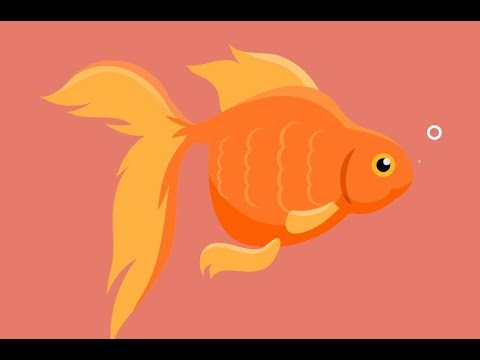 How to Make Your Goldfish Live for at Least 15 Years | Italian Insider