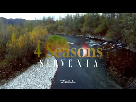 4 Seasons Fly Fishing Slovenia - Lustrik