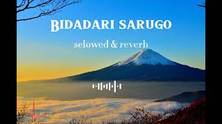Download lagu #opik ft Shani - Bidadari sarugo (slowed & reverb) mp3
