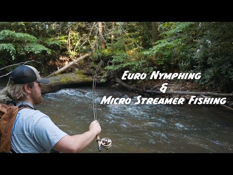 Euro Nymphing Small Streams for Wild Trout