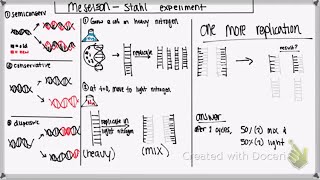Meselson and Stahl Experiment | Semi-Conservative Replication