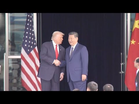Xi Jinping, Donald Trump shake hands, wave goodbye after meeting