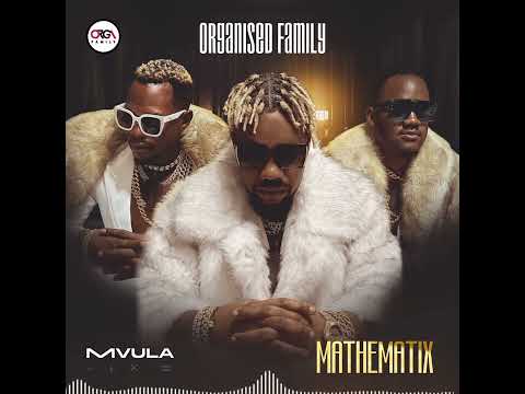 MVULA-Mathematics (Mathematix) Album-Organised Family