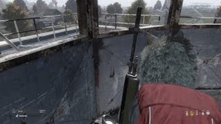 DayZ_20250222165306
