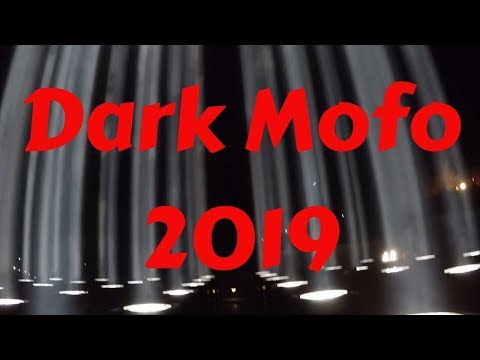闇モフォ2019 (Dark Mofo 2019)