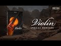 Video 1: Lyrical Violin Phrases Introduction