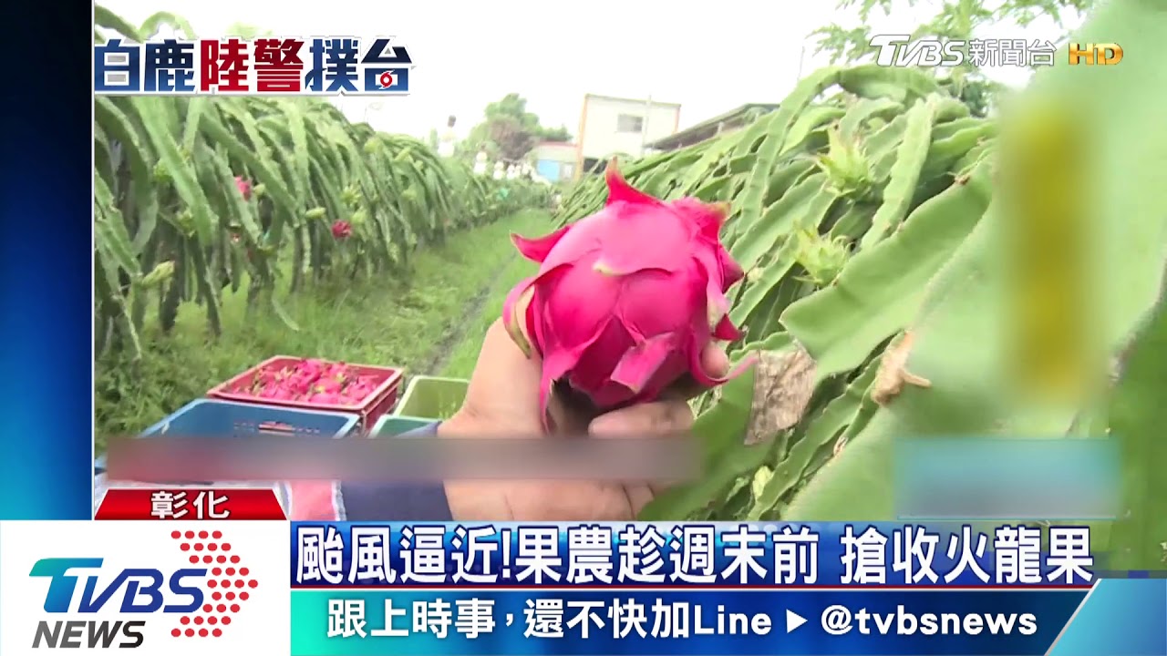 皮革廠地基淘空　業者急忙鋪大帆布防颱