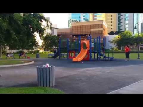 1133 Waimanu