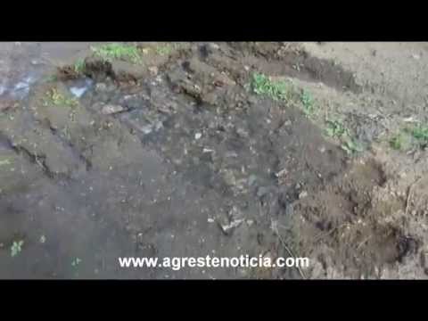 DESPERDICIO DE ÁGUA NA ZONA RURAL DE BREJO DA MADRE DE DEUS