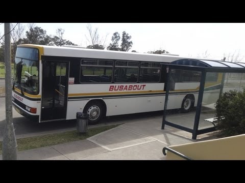 NICE ZF/AWESOME BUS: Busabout M/O 492 - Volvo B10B (ZF/Custom Coaches 200)