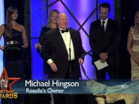 Promotional video thumbnail 4 for Michael Hingson - Blind World Trade Center Survivor