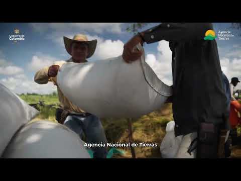 En Buenavista, Córdoba, la Reforma Agraria convierte el abandono en cosecha #ElMontemariano