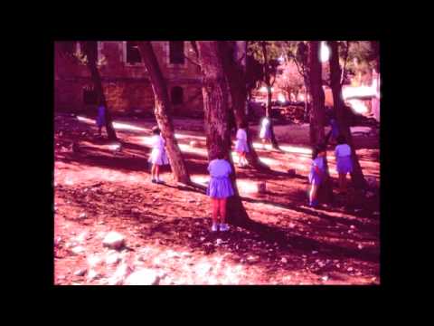 DAVID THOMAS & THE PEDESTRIANS  Didn't Have A Very Good Time