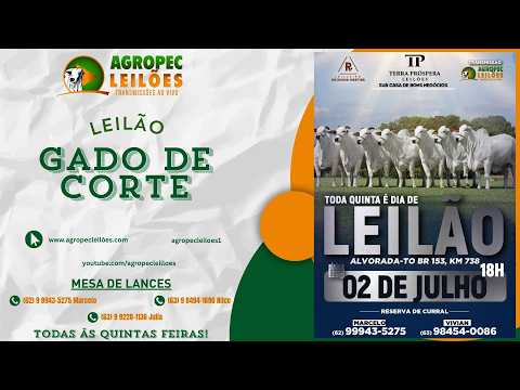 Agropecleiloes.com - AO VIVO - LEILÃO GADO DE CORTE | TERRA PRÓSPERA LEILÕES-ALVORADA-TO 02/07/2026