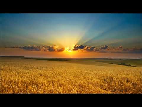 Luca de Maas  - Tycoon (Original Mix) {Vectiva Recordings}