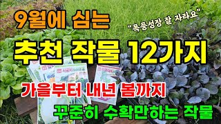 9월에 심는 추천작물 12가지 가을부터 봄까지 꾸준히 수확하고 재배가 쉽고 빨리 자랍니다. #9월에심는작물