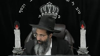 הלכות מילה - יב' - ברכת הגומל וסעודת מצווה | יורה דעה - סימן רסה | חלק 436 | הרב שי עובד (הרב שי עובד) - התמונה מוצגת ישירות מתוך אתר האינטרנט יוטיוב. זכויות היוצרים בתמונה שייכות ליוצרה. קישור קרדיט למקור התוכן נמצא בתוך דף הסרטון