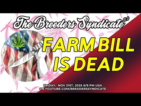 Hemp Bill Is DEAD! | Revisiting Emery Seedbanks Circa 2000