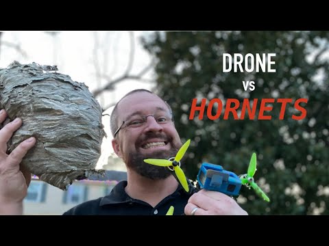 HORNET'S NEST vs FPV DRONE
