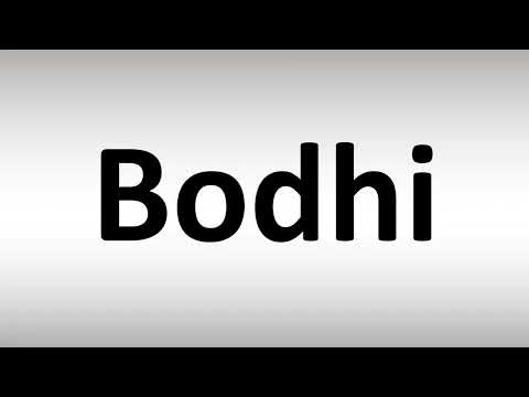 How to Pronounce Bodhi