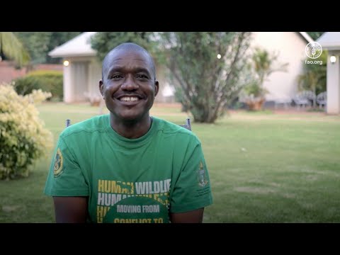 From Honeycombs to Green Jobs: Empowering Zimbabwe's Rural Youth through Beekeeping