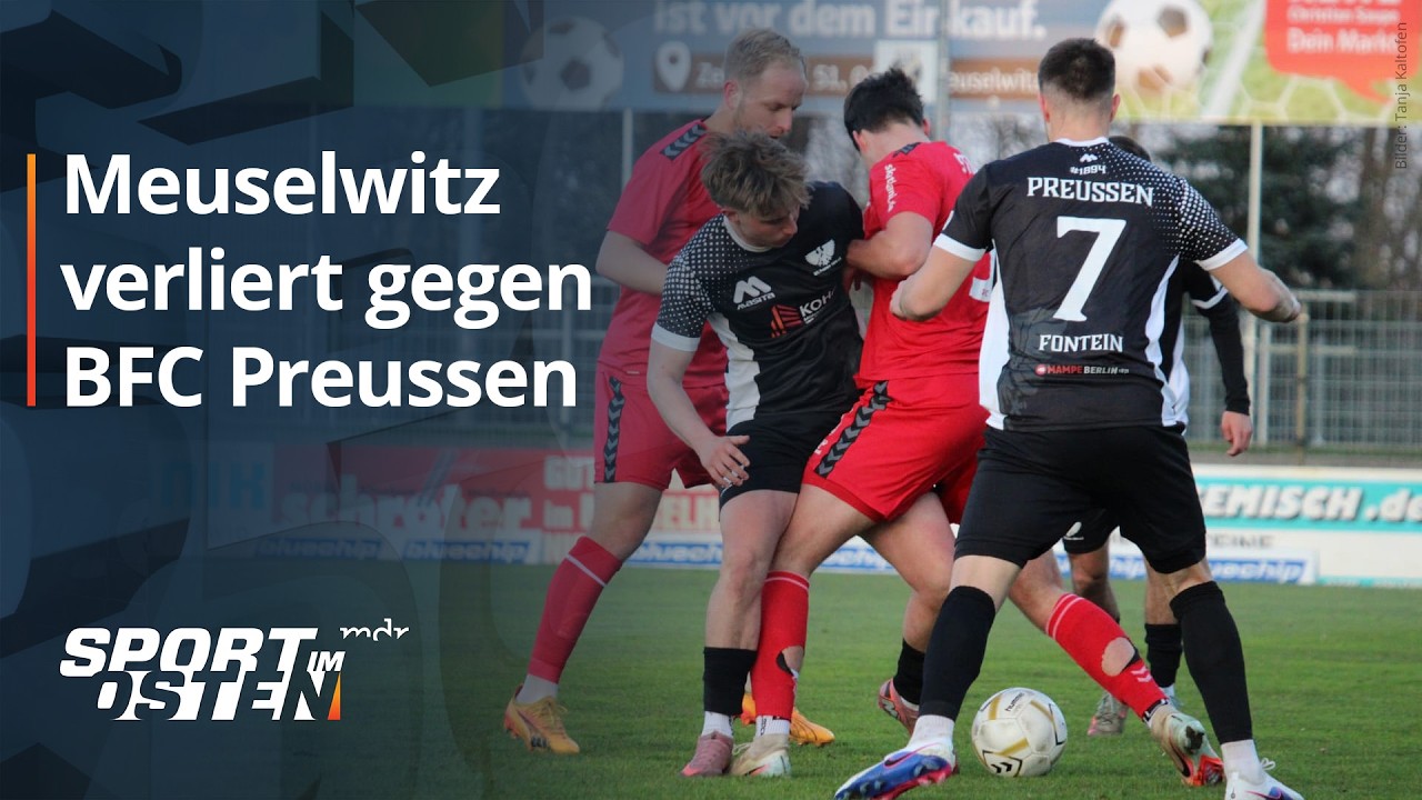 Z Meuselwitz vs B Preussen Berlin Highlights