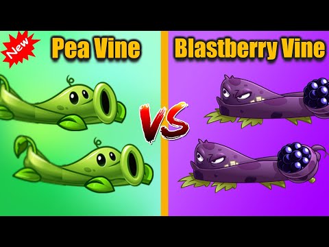 Plants Vs Zombies 2 New PEA VINE vs BLASTBERRY VINE | Plant vs Plant!