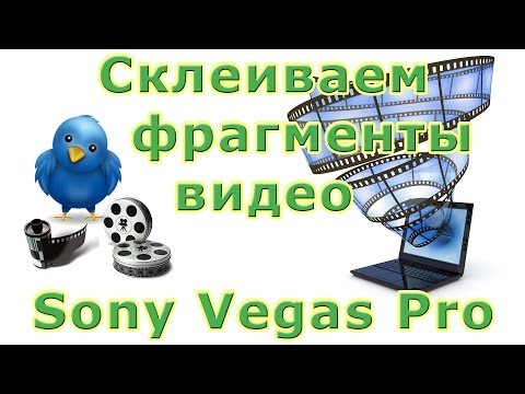 Объединение или группировка в Sony Vegas Pro