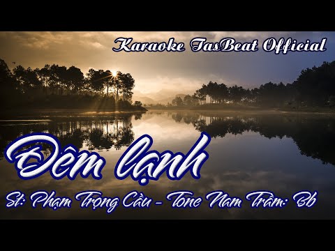 Karaoke Đêm Lạnh (Version 2) Tone Nam Trầm | TAS BEAT