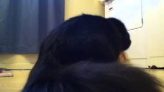 Monki (and friends) vs the Electric Razors.