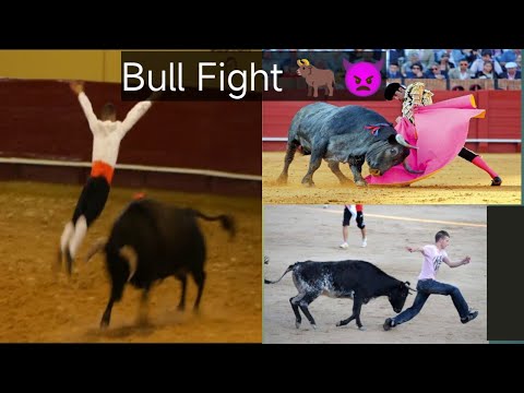 "Unbelievable Bull Fighting Stunt: Fearless Man Jumps onto Raging Bull!" @sergiobous @pbr