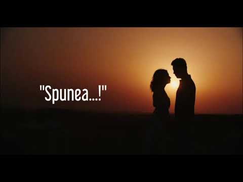 Frdm - "Spuneea...!" (Official Lyrics Video)