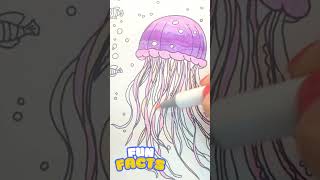 Jellyfish Bioluminescence - relaxing coloring video