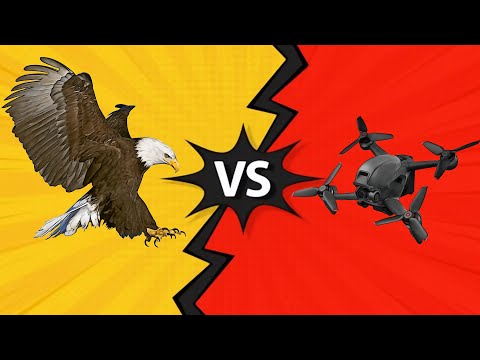DJI FPV vs Eagle