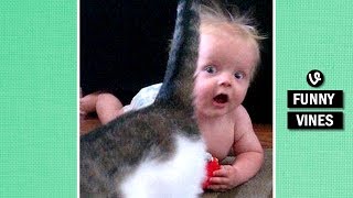 IMPOSSIBLE TRY TO STOP LAUGHING challenge - Super FUNNY BABY &amp; ANIMAL VINE compilation