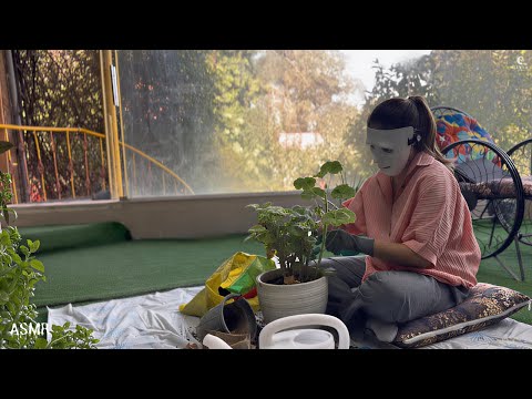 🌿 ASMR Pot Changing | Real Plant Sounds 🌿