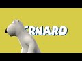 Bearnad Bear The Gym