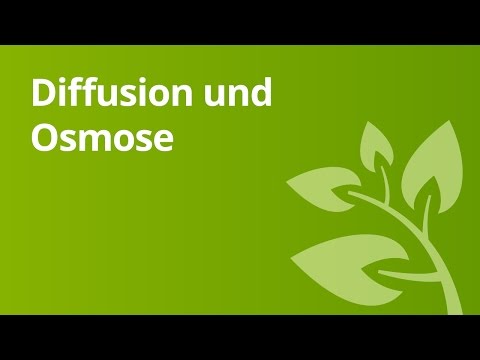 Kräuter für hohen Blutdruck Medikamente zur Behandlung von Bluthochdruck, lang wirkend