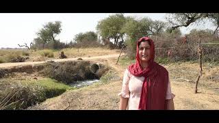 Study on award winning Gram Panchayat | Bhadunda Khurd | Rajasthan