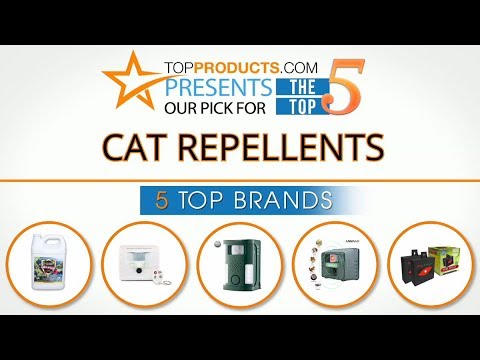 Best Cat Repellent Reviews – How to Choose the Best Cat Repellent