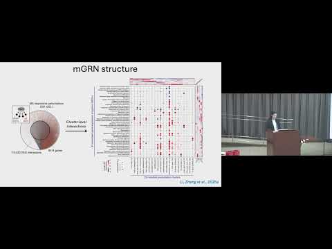Genome-scale models of metabolic wiring and rewiring