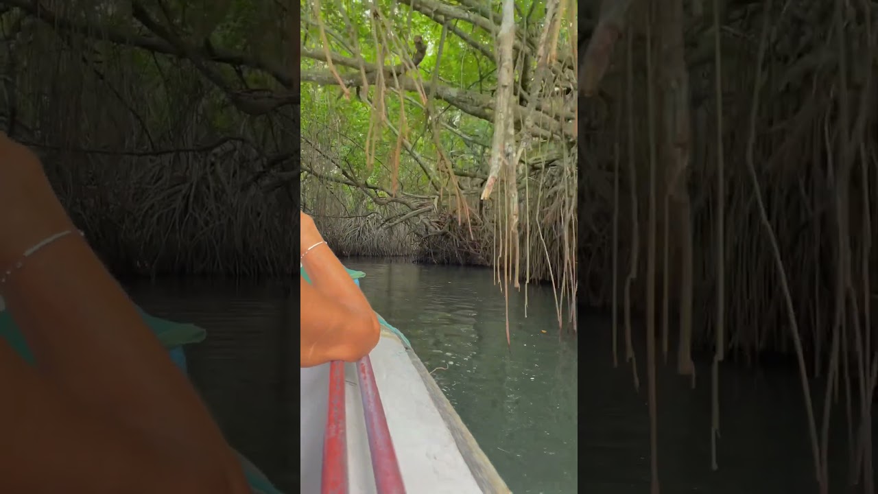 YouTube Short thumbnail