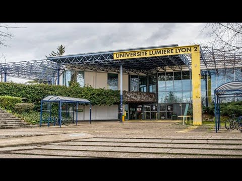 "Comment cet enseignant à Lyon 2 peut-il continuer à exercer avec cet antisémitisme décomplexé ?"