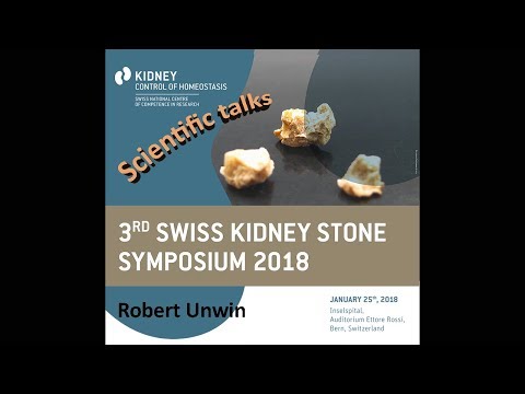 Robert Unwin at the 3rd Swiss Kidney Stone Symposium 2018