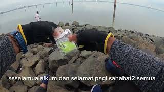 Download lagu TANJUNG HARAPAN teknik Carolina rig pemikat ikan talang mp3 Download lagu TANJUNG HARAPAN teknik Carolina rig pemikat ikan talang mp3