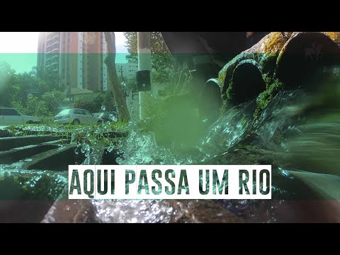 Caçadores de rios: como dois amigos mapearam 800 cursos d'água escondidos sob o concreto de SP