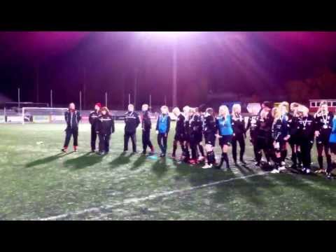 Pallokissat suomen mestareita 2013