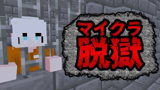 【マイクラ脱獄】最悪の刑務所にきた！！（前編）【クラーミル刑務所】【囚人役：にゅーい視点】マイクラ/マインクラフト/minecraft