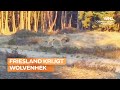 Hans Wiegel slaat eerste paal van wolvenhek Friesland: 'Duidelijk waar wolf wel en niet welkom is'