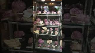Hotel Tucson Room 269 Reel Amethyst Mine 2018.01.24